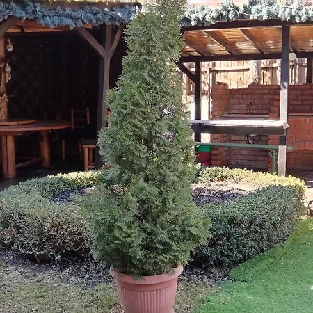 Casa Medievala * Bran (Brasov)